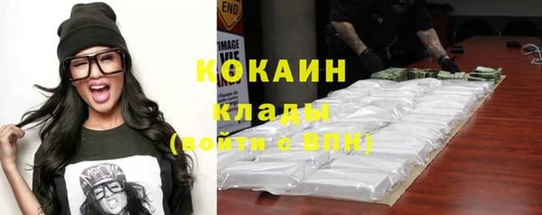 мдпв Вяземский