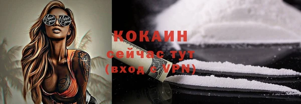 мдпв Вяземский