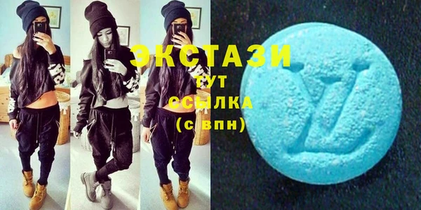 мдпв Вяземский