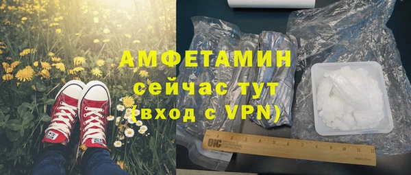 мдпв Вяземский