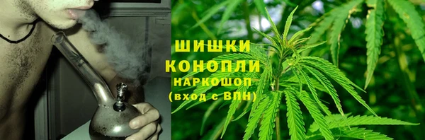 мдпв Вяземский