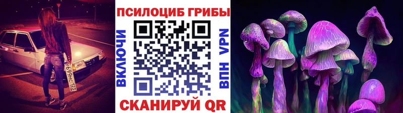 цена   Нижневартовск  omg   Галлюциногенные грибы GOLDEN TEACHER 